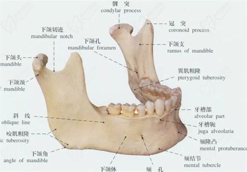 上饶口腔医院种植牙收费价格表：